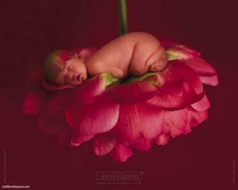My HD Wallpaper Archive Anee Geddes