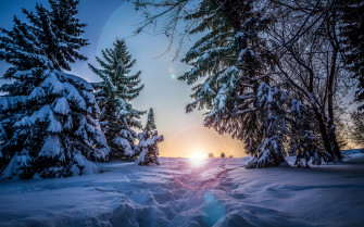 Nature Winter 4k Ultra HD Wallpaper