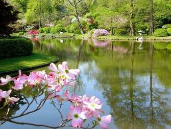 Early Spring Background