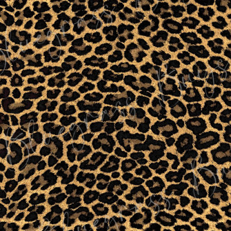 Details Leopard Print Background Wallpaper