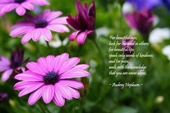 Beautiful Quotes Wallpaper Pictures Image