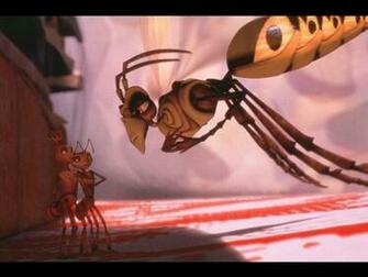 Insects