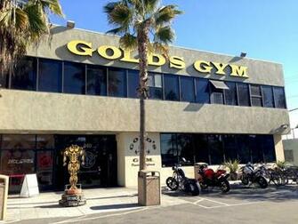 Gold S Gym Venice Wallpaper At Wallpaperbro