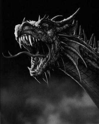 Wallpaper Black Dragon For Desktop