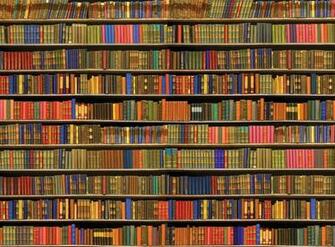 Bookshelf Wallpaper Mural For
