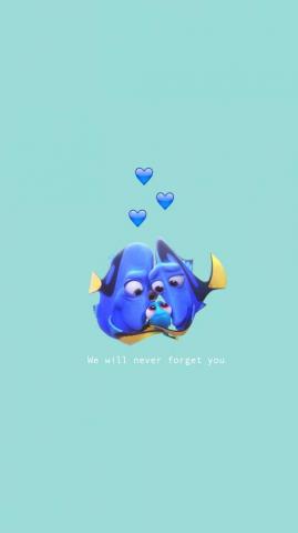 Dory Ideas
