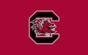 University Of South Carolina Wallpaper