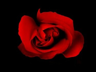 Wallpaper Red Black And Lack