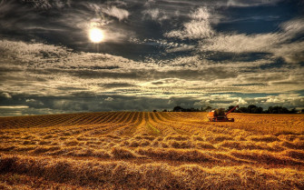 The Real Meaning Of Our Harvest Celebration Im Church