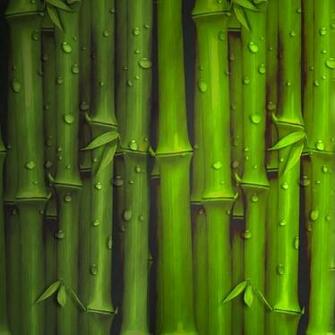 Bamboo iPad Wallpaper iPhone