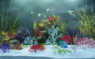 Aquarium Wallpaper