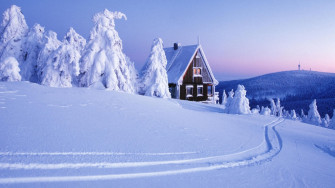 Snow Wallpaper