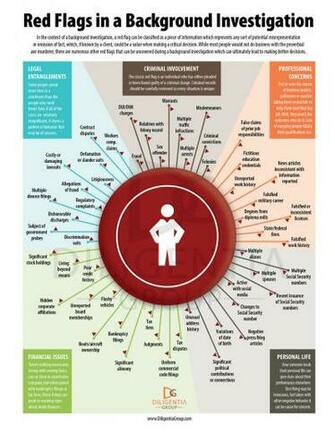 Red Flags In A Background Investigation Infographic Diligentia
