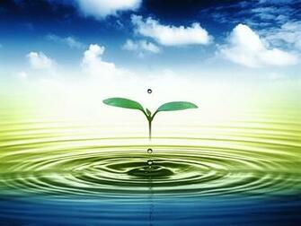 3d Leaves And Water Drop Wallpaper Live HD Hq Pictures