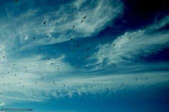 Wallpaper Sky Clouds Birds Nature Desktop