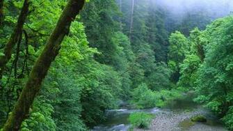 Nature Landscapes HD Wallpaper