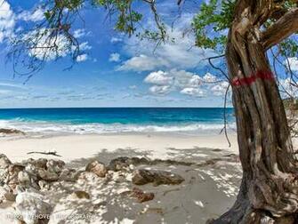 Tropical Beach Wallpaper Welcome To Paradise