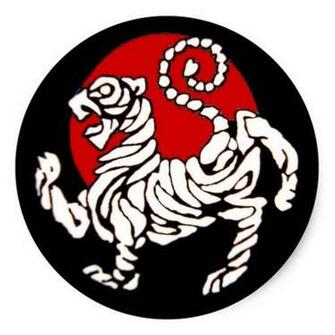 Shotokan Karate Tiger With The Japanese Red Sun On A Black Background