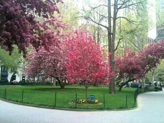 Lisa D Rediscovering America Spring Has Sprung In New York City