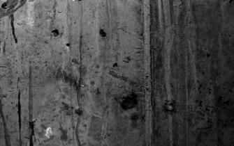 Breathtaking HD Gray Wood Background Background Headless Horseman