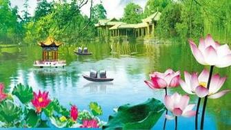 Bigger Lotus Pond 3d Live Wallpaper For Android Screenshot