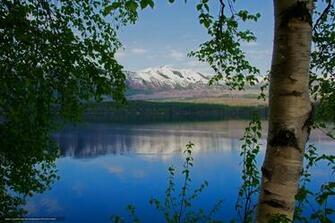 Wallpaper Lake Mountains Birch Branch Desktop