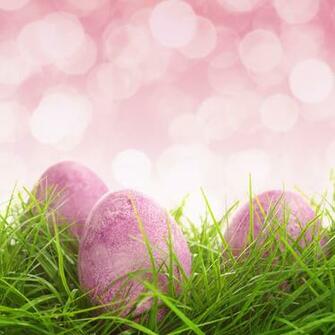 Easter Pink Background With Eggs And Grass Gallery