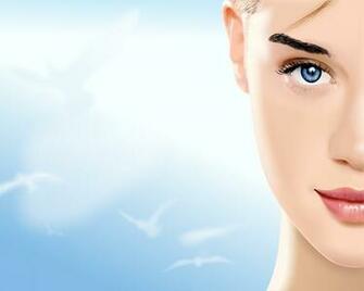 Makeup Cosmetics