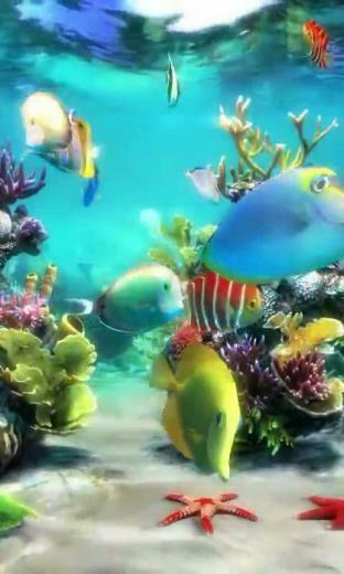 Aquarium Live Wallpaper For Your Android Phone