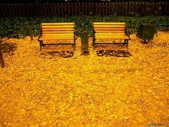 Theme Of The Yellow Wallpaper
