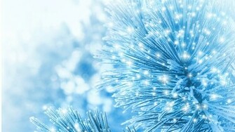 Winter Ecstasy Wallpaper