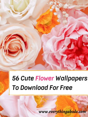 Aesthetic Flower Wallpaper For iPhone HD