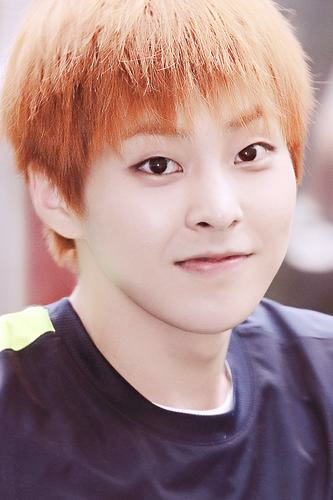 Xiu Min Image Xiumin HD Wallpaper And Background