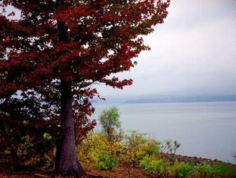 The Autumn Wallpaper Category Of HD Widescreen
