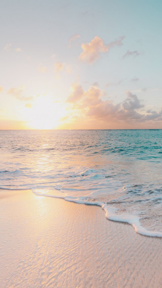 Beautiful Summer Wallpaper For iPhone