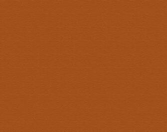 Light Brown Background Color
