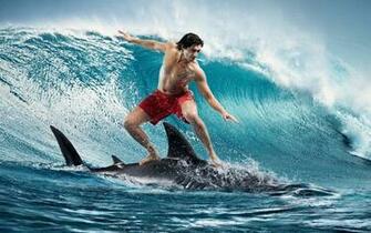 Boy On Shark Surfing HD Wallpaper Res