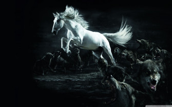 Horse Desktop Wallpaper Pictures
