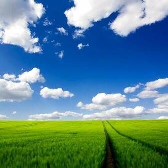 iPad Wallpaper Hi Res Natural Scenery Mini