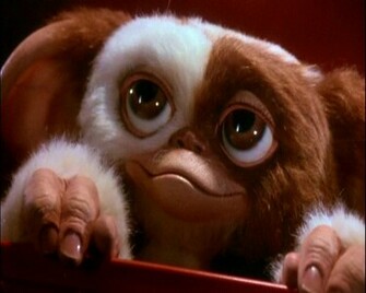 Gizmo By Aussietenshi