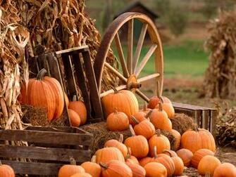 Harvest Wallpaper