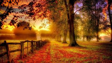 Autumn Wallpaper Background Image