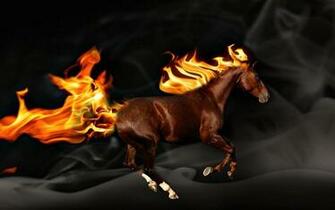 Fire Horse Wallpaper HD In Animals Imageci