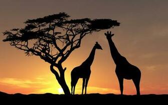 Wallpaper Details File Name Africa Uploaded By Kvin Date