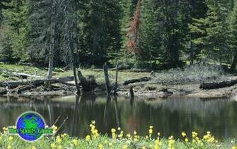 Pin Pond Desktop Wallpaper Standard Display Sizes Widescreen On