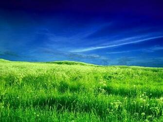 Field Desktop Wallpaper Group Picture Image By Tag