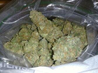 Sour Diesel