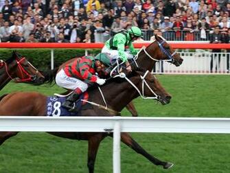 Horse Racing The Derby Epsom Computer Desktop Wallpaper