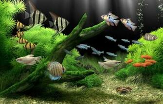 Dream Aquarium Screensaver