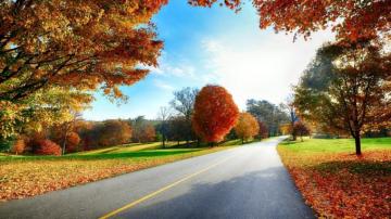 Cozy Autumn Desktop Wallpaper Basty